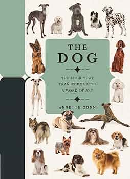 その他 UNDER THE DOG Artbook その他 UNDER THE DOG Artbook その他 UNDER THE DOG Artbook